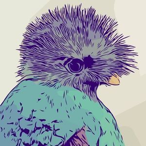 Meet your Posher, Francisco